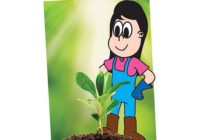 Plantar e colher