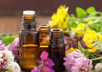 Atraia o bem-estar para os ambientes de sua casa com a Aromaterapia
