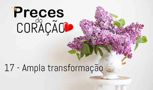 17 - Ampla transformação