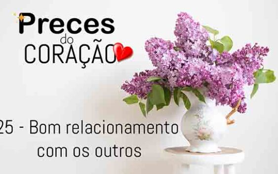 25 - Bom relacionamento com os outros