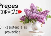 28 – Resistência às provações