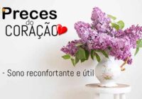 29 – Sono reconfortante e útil