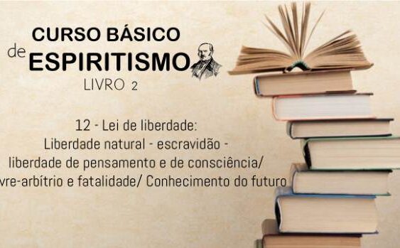 12 - Lei de liberdade