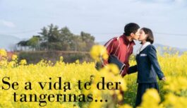 Série: Se a vida te der tangerinas…